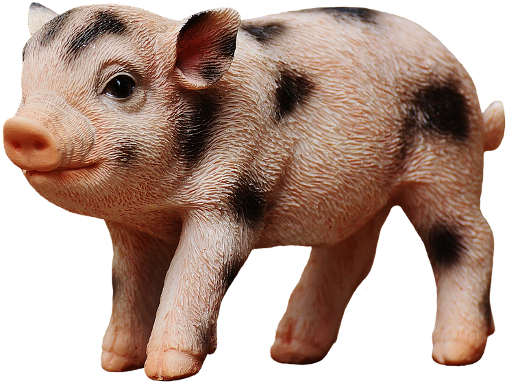 Piglet, Figure, Cute, Funny, Decoration, Deco, Isolated - หมู ลาย จุด (919x720), Png Download
