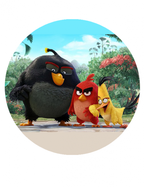Angry Birds Movie 2 (600x600), Png Download