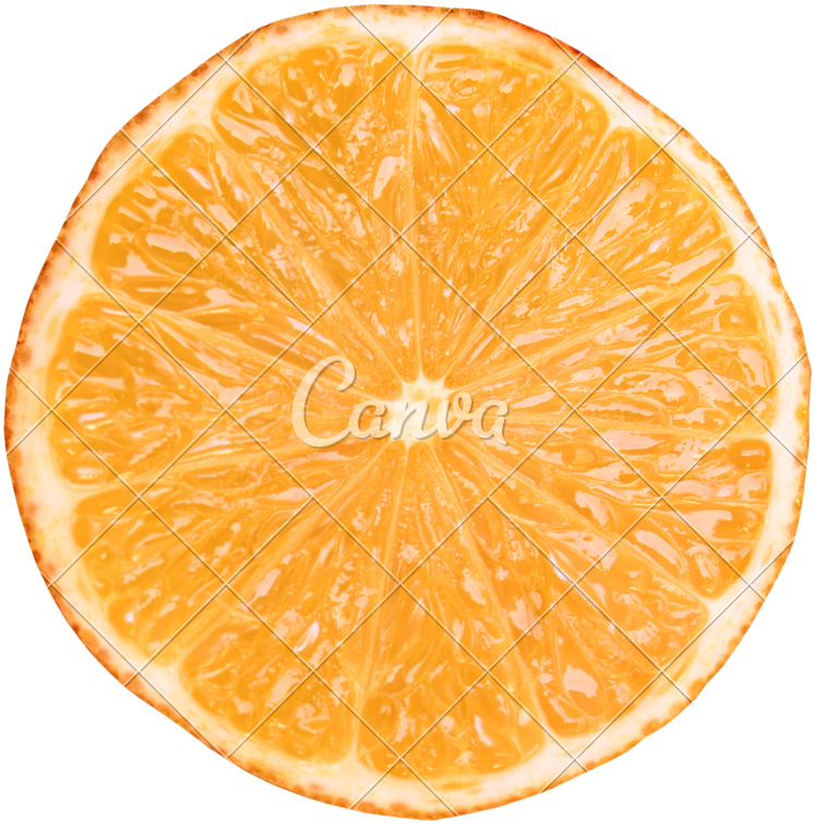 800 X 800 4 - Vintage Orange Slice (800x800), Png Download
