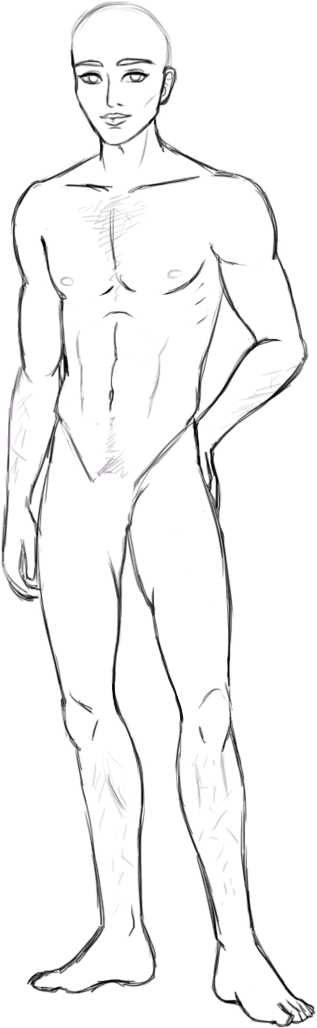 Trey-base - Figure Drawing (412x1088), Png Download