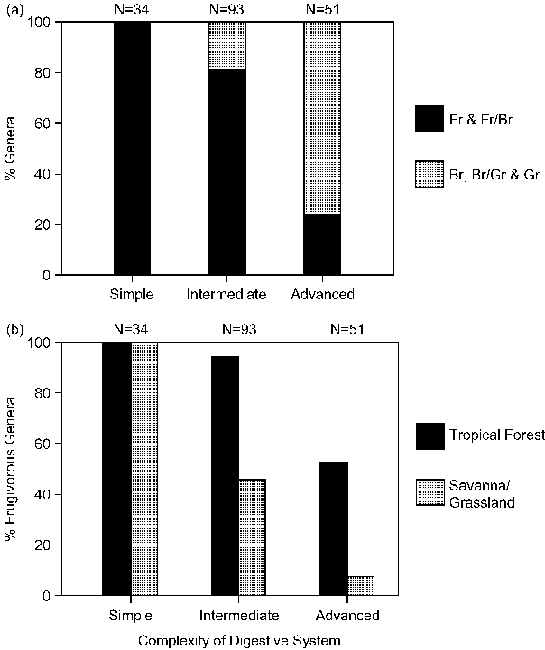 Relationships Between Complexity Of Digestive Systems - Diagram (604x721), Png Download