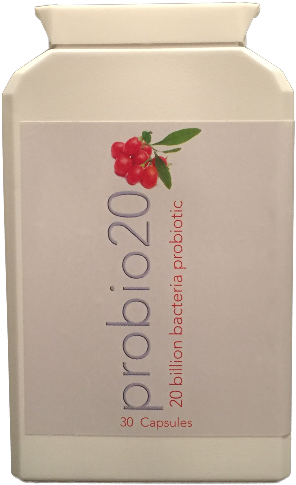 Broad Spectrum, 8 Probiotic Strains At High Concentration, - Garden Roses (1000x1000), Png Download