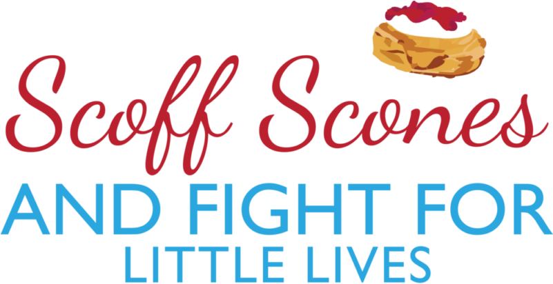 Tingdene Home Is Holding Its Own 'scoff Scones And - Cheesecake (800x430), Png Download