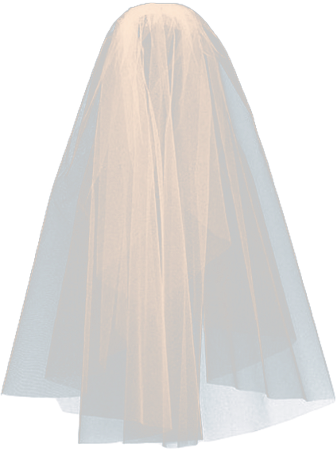 Wedding Veil Bride Tiktok Freetoedit - Wood (1024x1024), Png Download