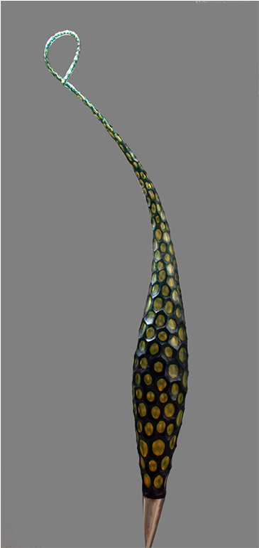 Green - Fish (775x775), Png Download