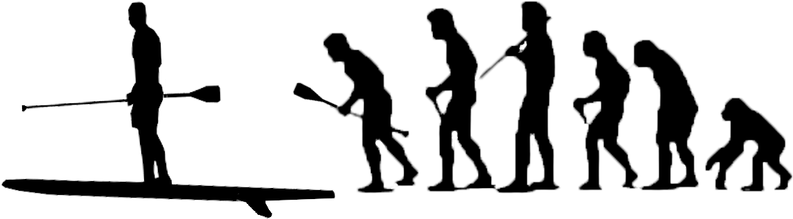 Stand Up Paddle Evolution (1600x389), Png Download