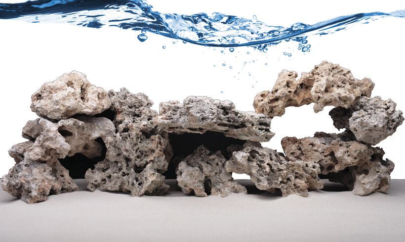 More Views - Rock Reef Png (820x489), Png Download