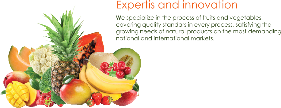 Frutas Y Vegetales - Berry (940x362), Png Download