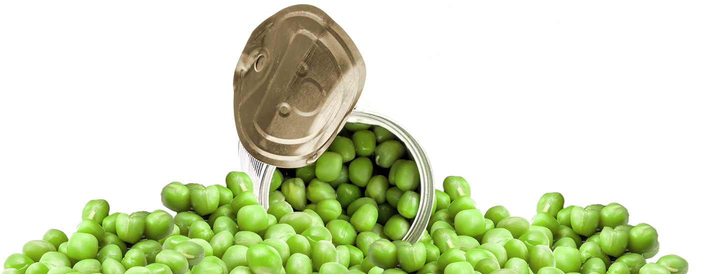 Una Lata Abierta De Chícharos - Snap Pea (1600x548), Png Download