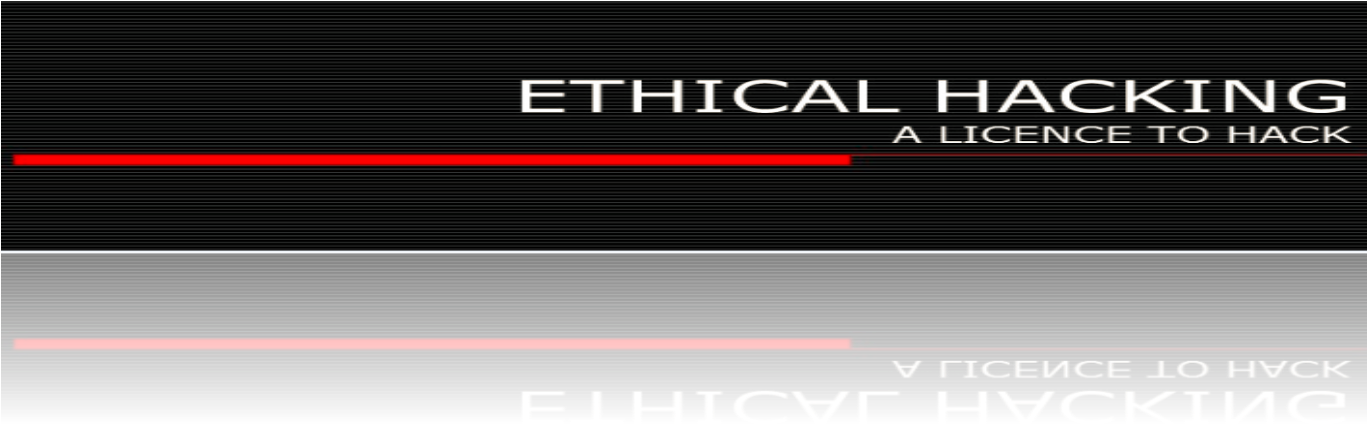 Bud Racing (1366x502), Png Download