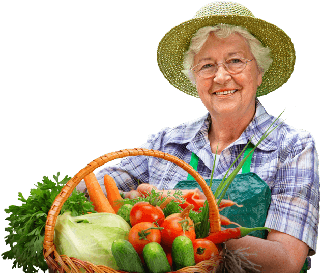 Seleccionamos Las Mejores Frutas Y Verduras - Basket (633x536), Png Download