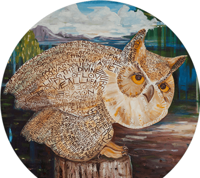 Shannon Willow Art - Screech Owl (900x668), Png Download