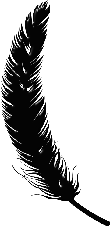 Black Feathers 800 X - Illustration (400x800), Png Download
