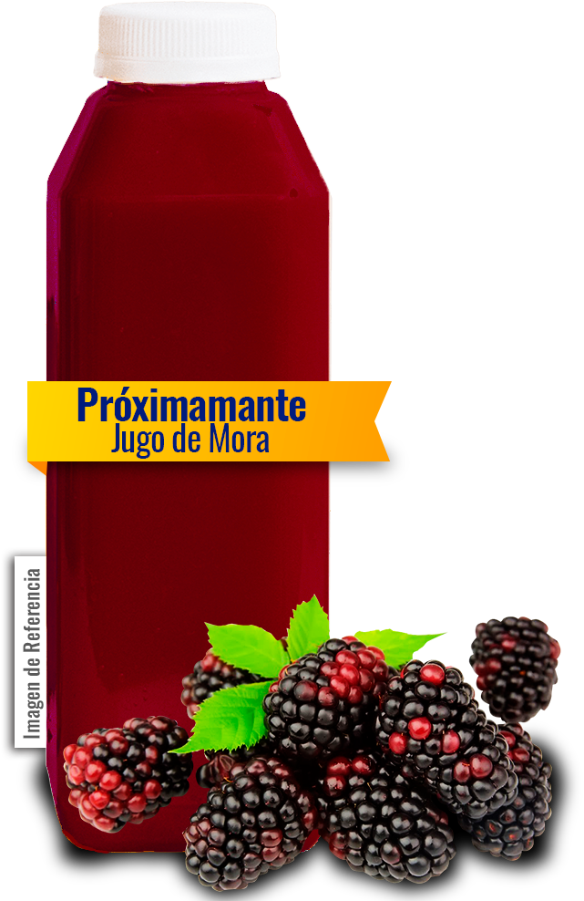 Jugo De Mora Alinal - Nome Cientifico Da Amora (800x1020), Png Download