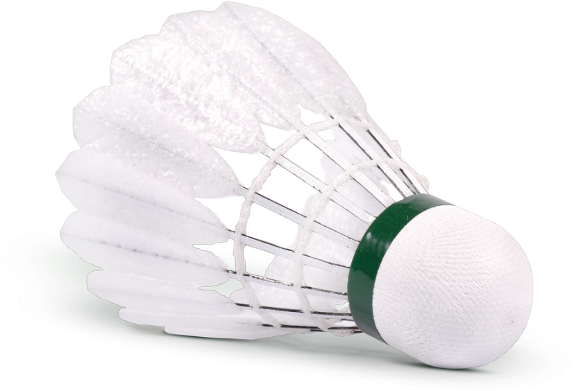 The Specially Designed Foam Feathers Are Build On An - Victor Carbonsonic (900x575), Png Download