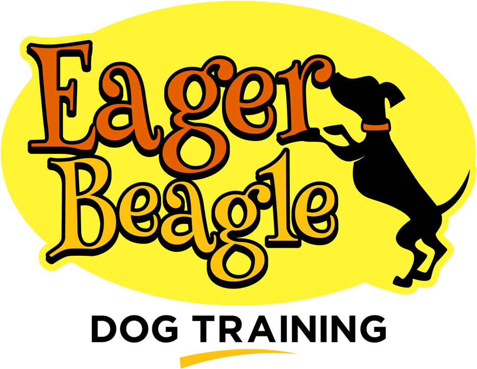 Eager Beagle Dog Training - Dog Grooming (1000x789), Png Download