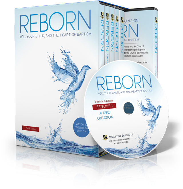 Reborn Parish Edition - Cd (660x693), Png Download