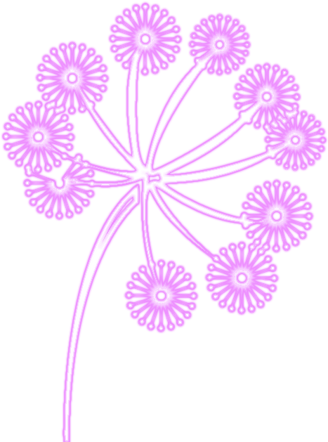 Ampliar Esta Imagen - Floral Design (546x660), Png Download