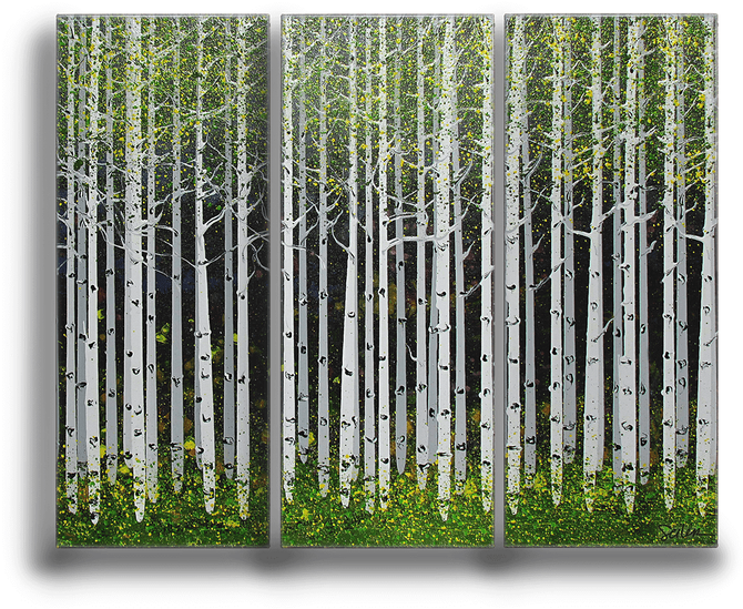 Summer Aspen Trees 3-panel Box Art - Grass (730x730), Png Download