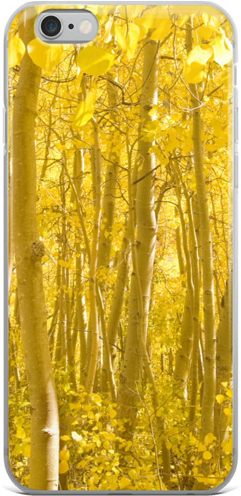 Aspen Grove Slim Iphone 6/6s Tree Forest Themed Phone - Mobile Phone Case (1000x1000), Png Download