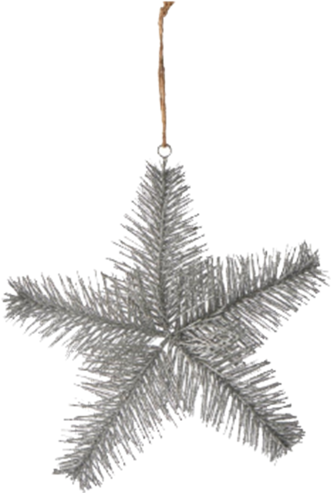 Productimage0 - Christmas Ornament (673x1000), Png Download