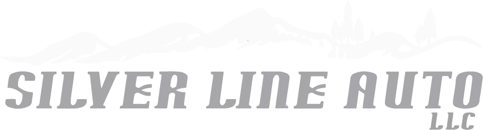 Silver Line Auto Llc - Illustration (1200x300), Png Download
