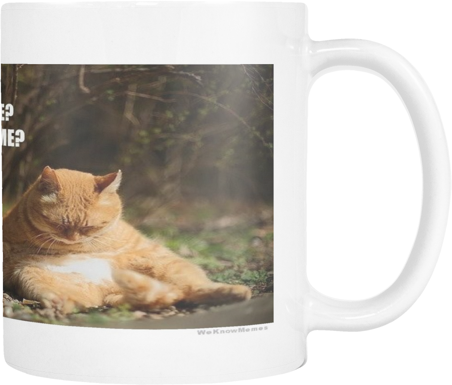 Fat Cat Regrets Meme 11 Ounce Coffee Mug - Sleepy Kitten (1024x1024), Png Download