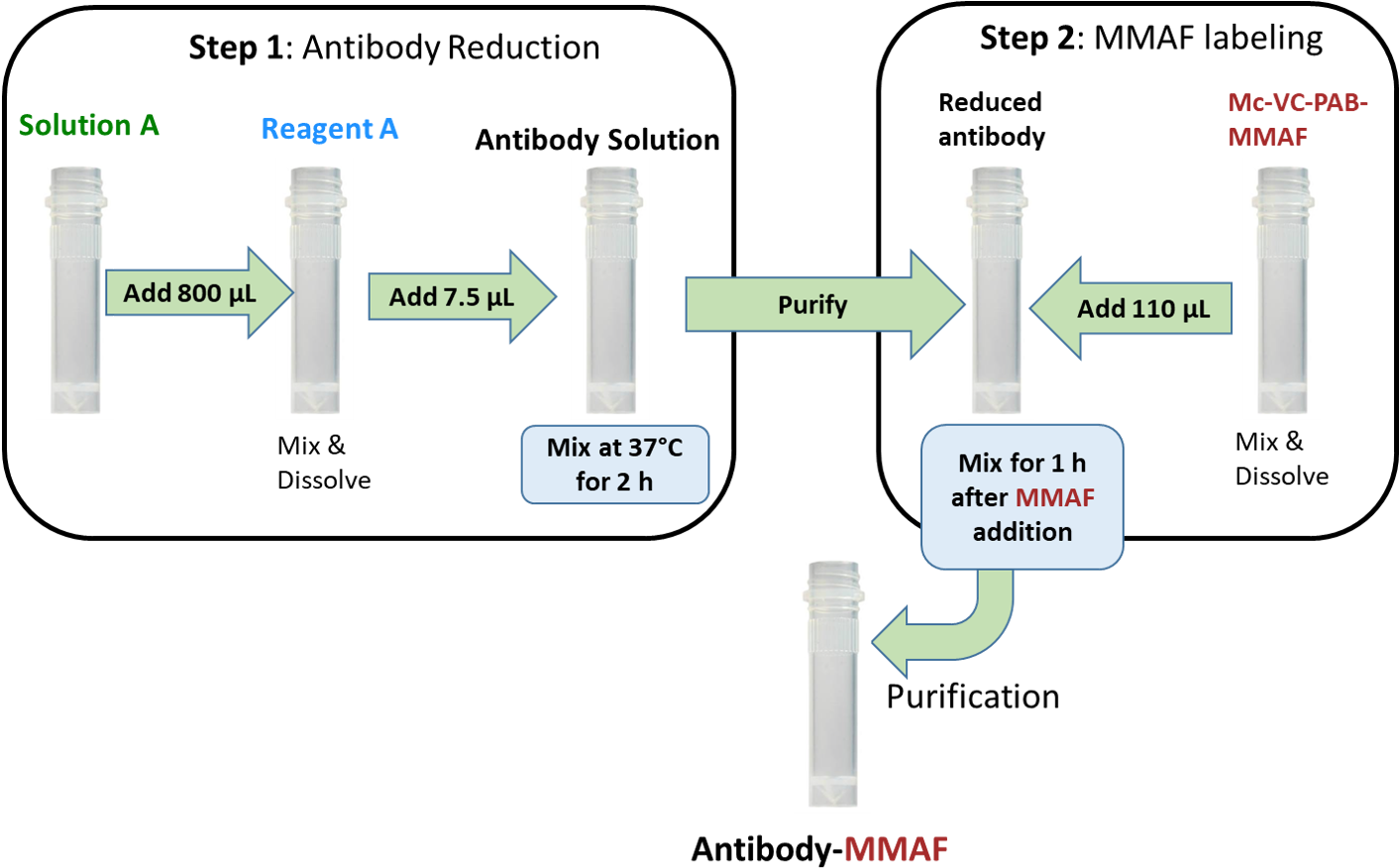 Protocol Cm11425 Antibody Mmaf - Diagram (1414x901), Png Download