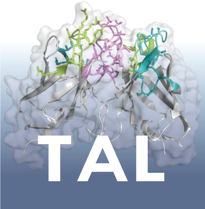 From Therapeutic Antibodies To Clinical Success - Texas Dental Association Png (718x820), Png Download