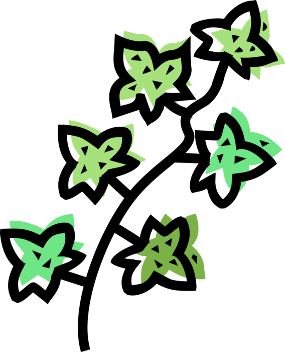 Vector Illustration Of Botanical Horticulture Garden (568x700), Png Download