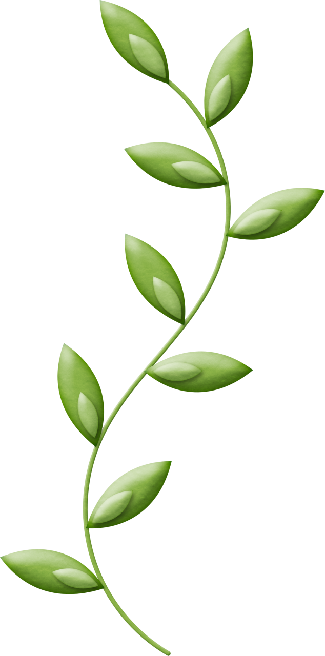 Яндекс - Фотки - Dia Nacional De La Enfermera (634x1280), Png Download