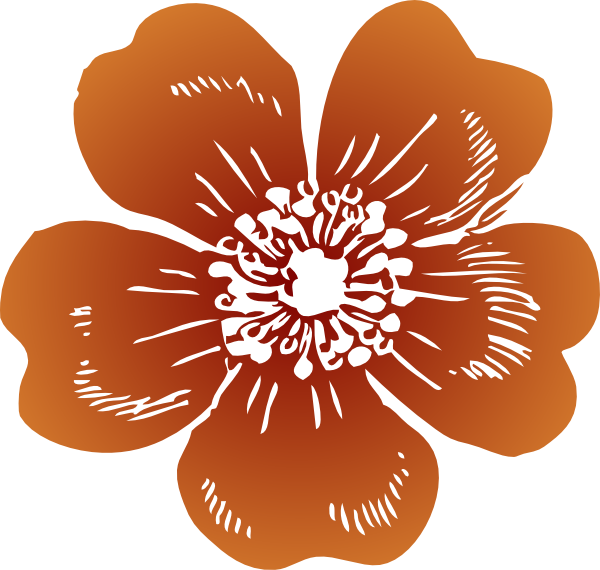 Free Download Wild Rose Vector (600x570), Png Download