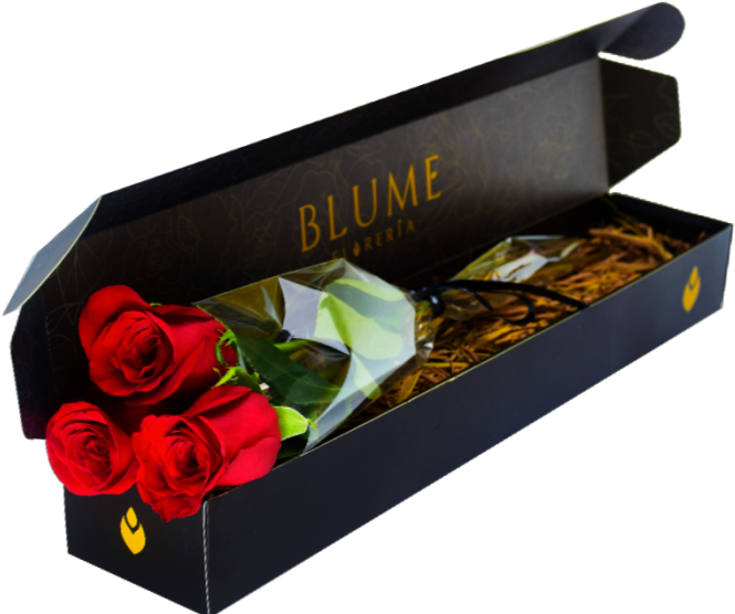 Caja De 3 Rosas Rojas - Garden Roses (680x884), Png Download