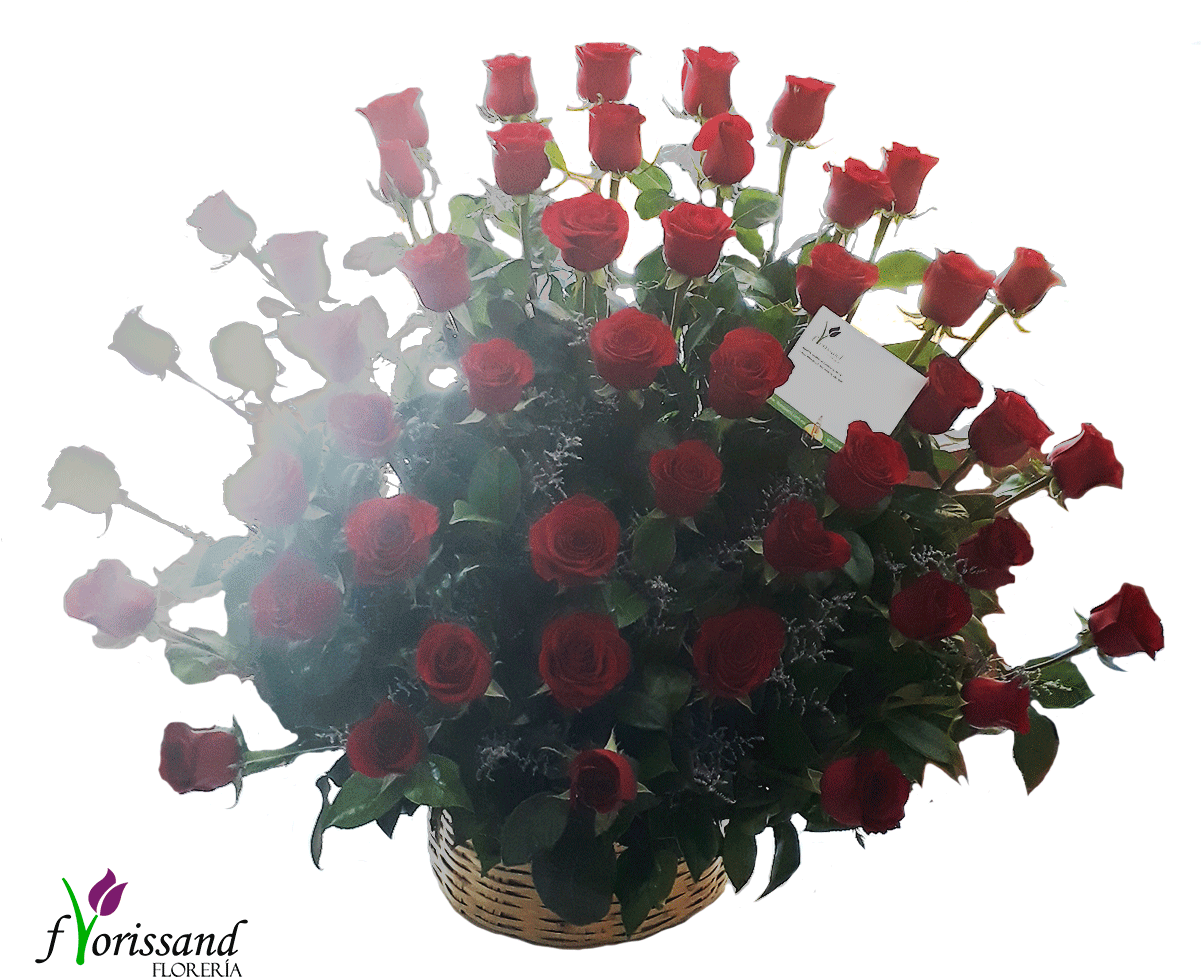 50 Rosas Rojas - Flower (1200x1000), Png Download