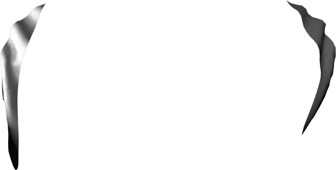 White Stork (1712x2000), Png Download