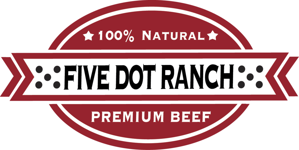 Five-logomodern01 - Circle (1000x502), Png Download