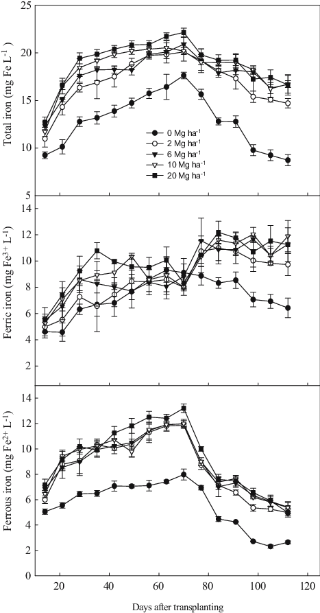 Changes In Total Iron, Ferrous Iron, And Ferric Iron - Diagram (474x898), Png Download
