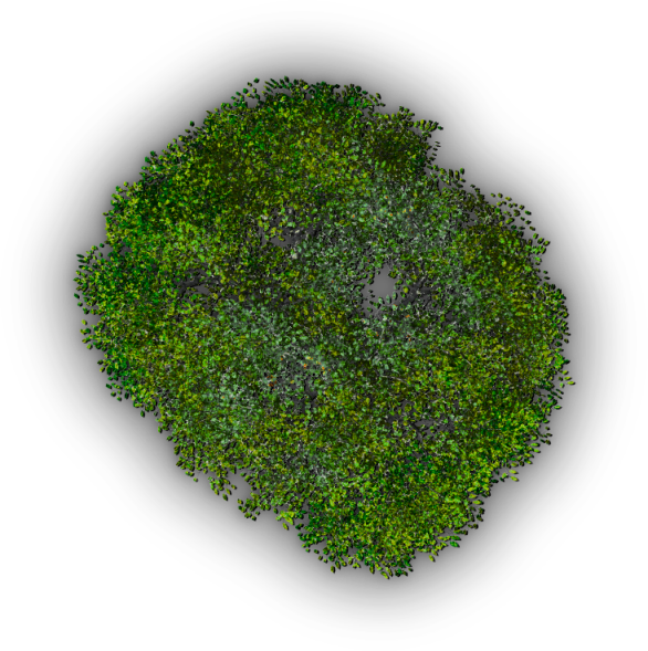 08 720k Tree Jrl2b - Grass (586x589), Png Download
