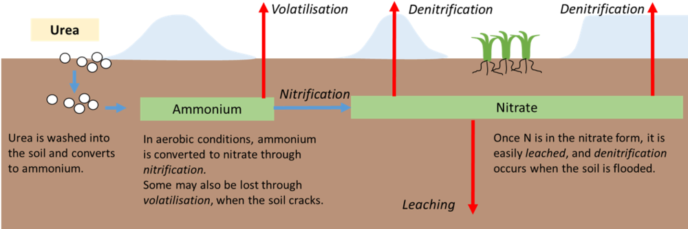 Picture5 - Diagram (1000x348), Png Download