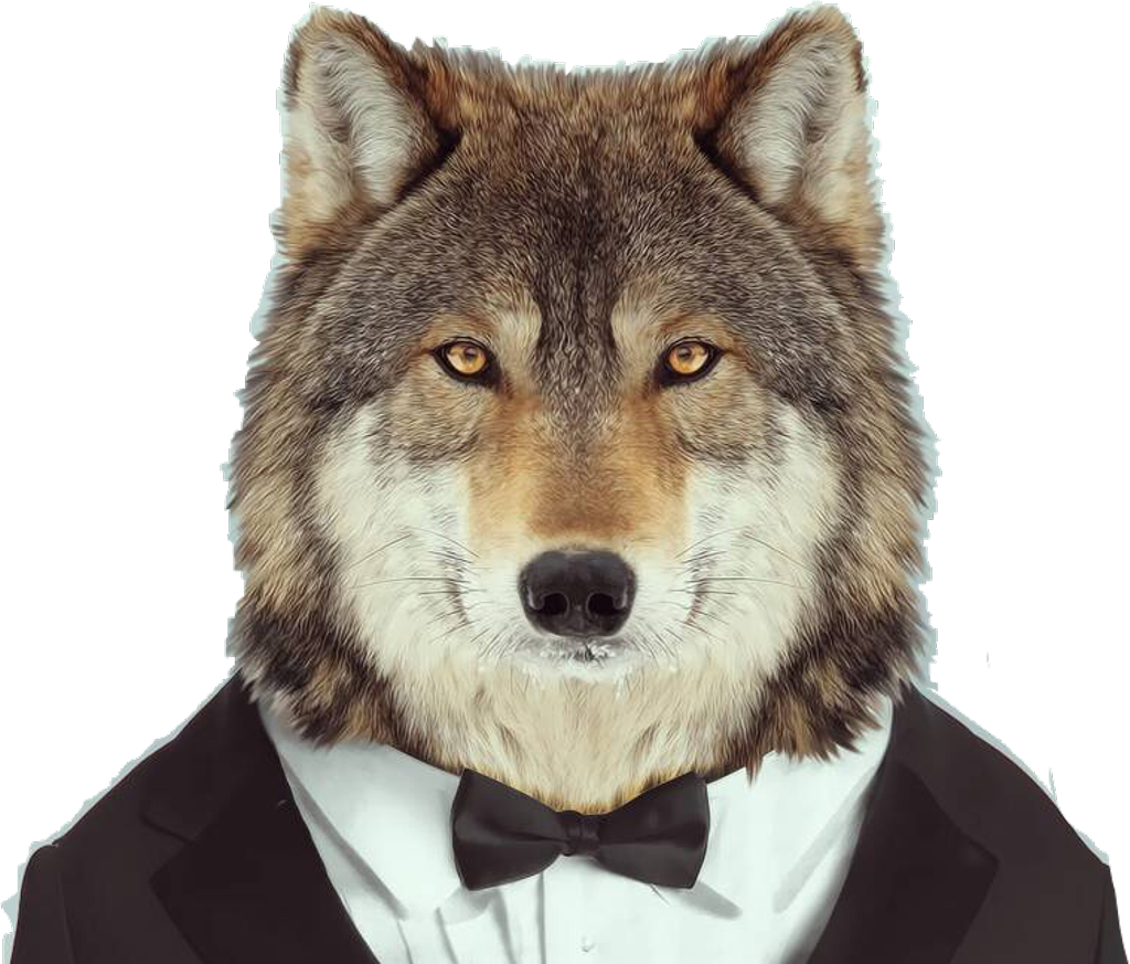 Wolf Sticker - Animales Como Humanos (1024x873), Png Download