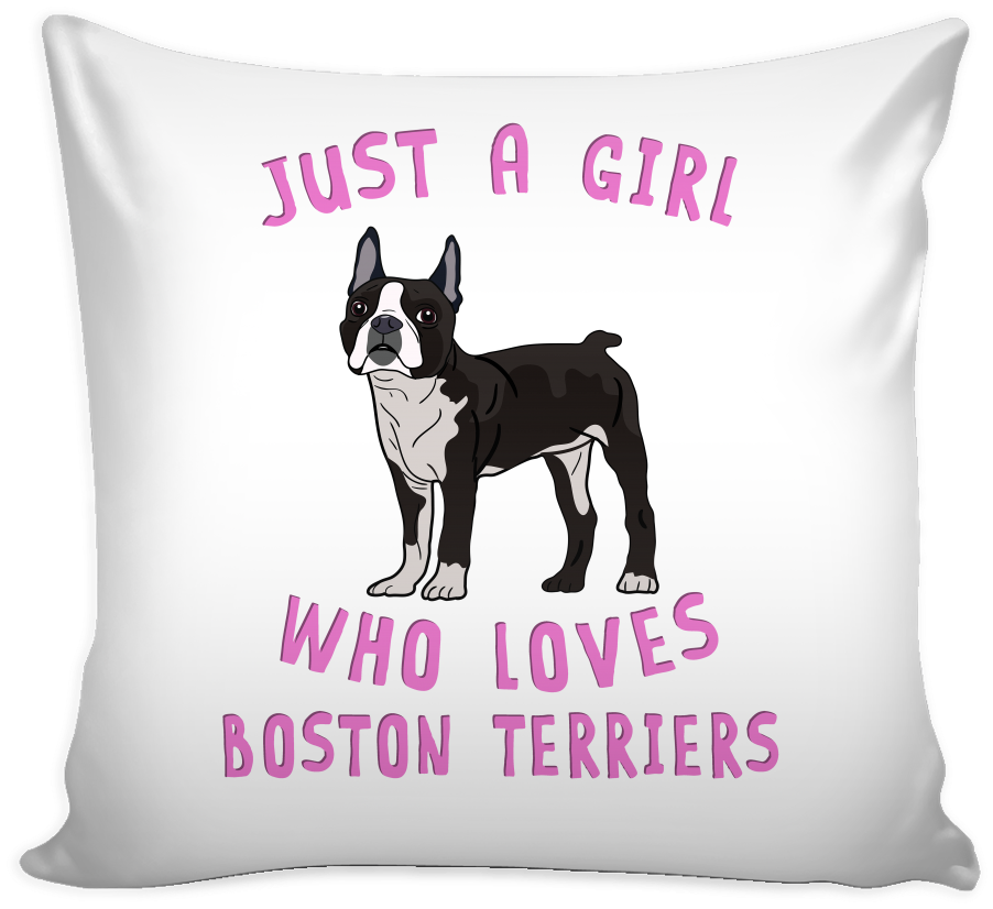 Dog Lover Pillow Cover - Boston Terrier (1024x1024), Png Download