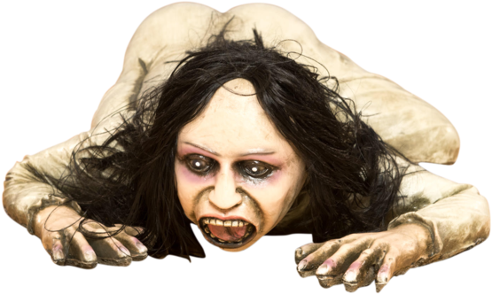 Photo Shoot (1000x667), Png Download