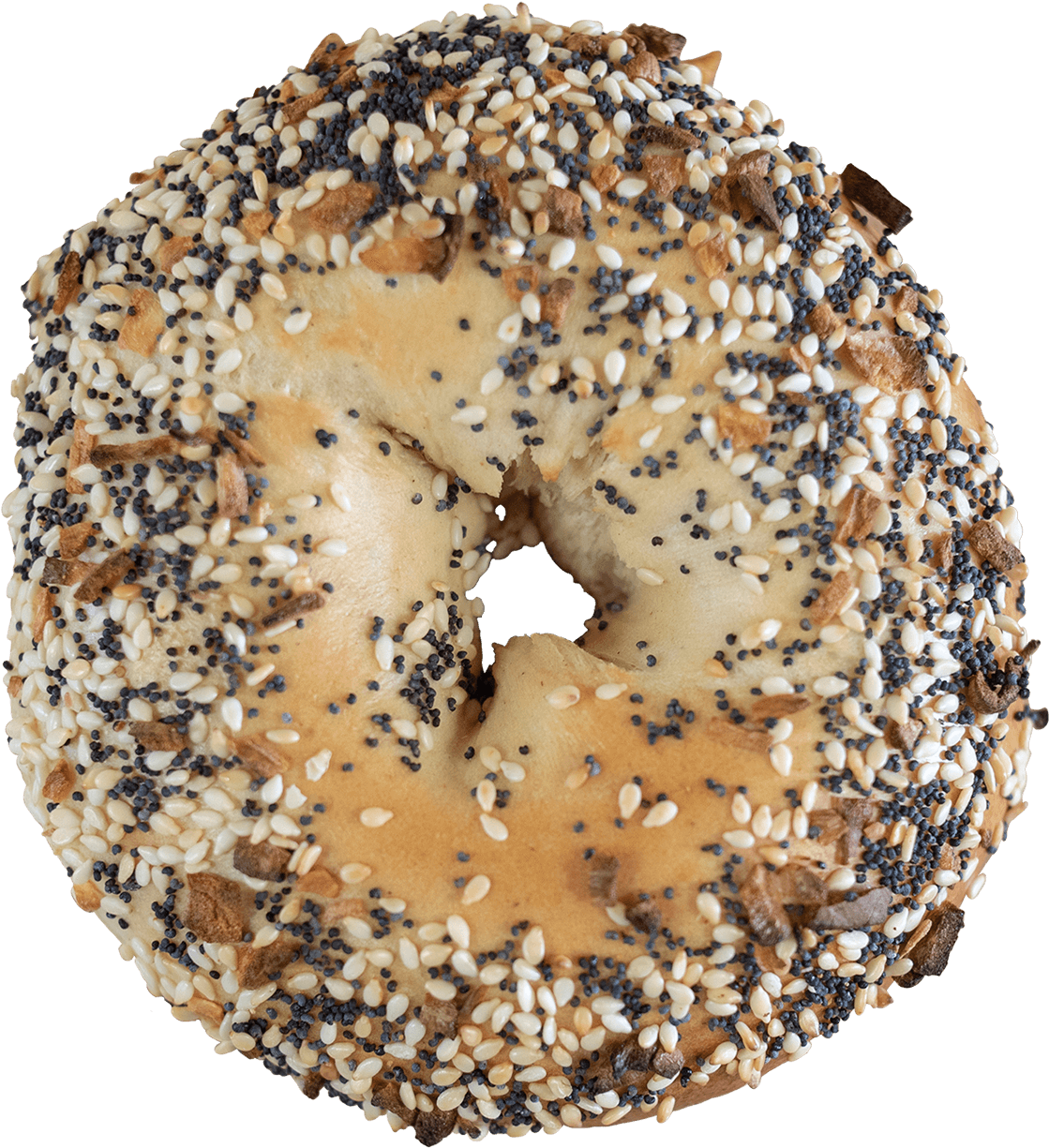 Poppy Seed Bagel - Doughnut (1335x1335), Png Download