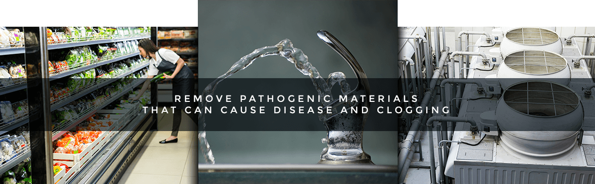 Pathogens-banner1 - Trophy (1200x372), Png Download