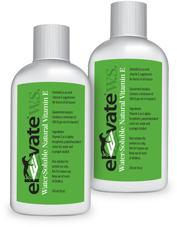 Elevate Ws Natural Vitamin E Supplement Horses - Vitamin (600x600), Png Download
