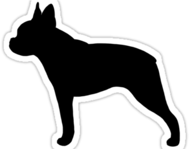 Boston Terrier Clipart Transparent - Boston Terrier Silhouettes (640x480), Png Download