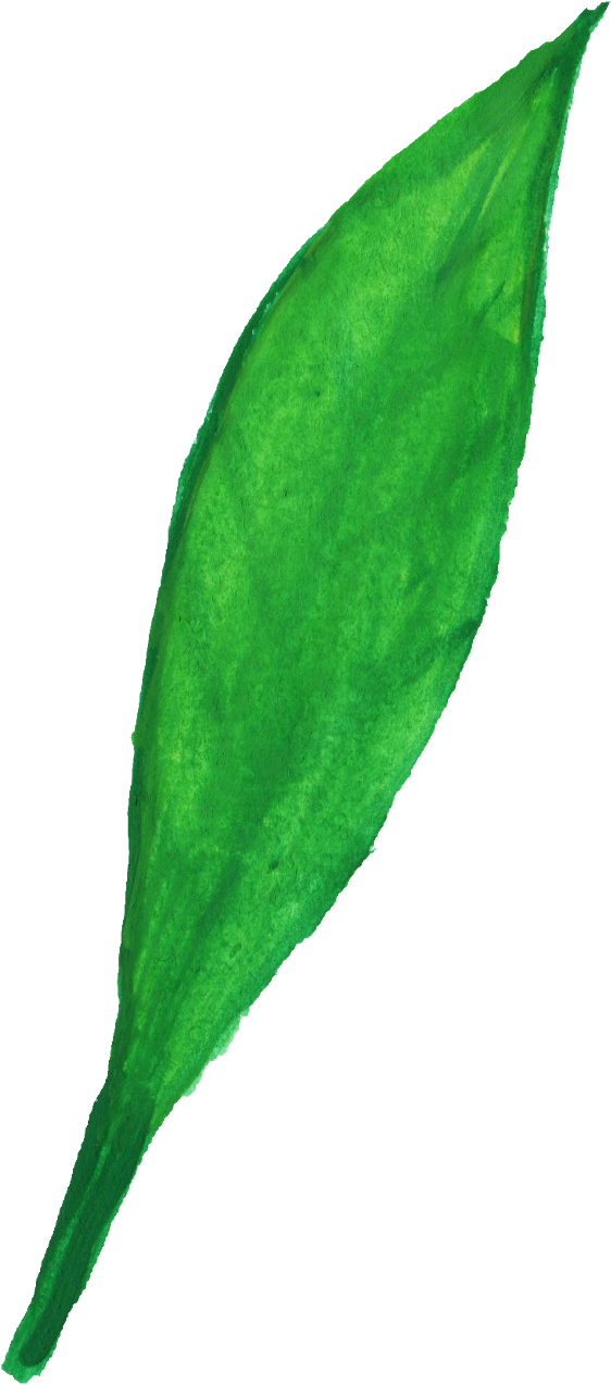 Free Download - Grass (562x1274), Png Download