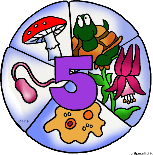 Biological Scientist Clip Art Biology Science Clipart - Five Kingdom Classification Blank (609x615), Png Download