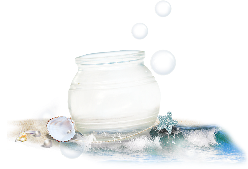 Crystal Pot With Sea Shells - Still Life Photography (800x800), Png Download