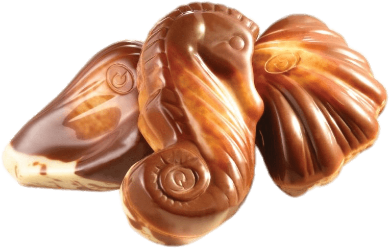 Food - Seashell Guylian Chocolate (850x850), Png Download